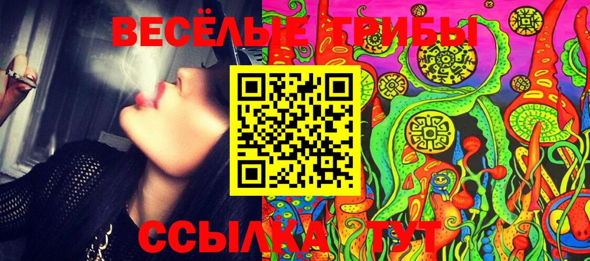 Галлюциногенные грибы Psilocybe  Псилоцибиновые грибы Magic Shrooms  Вход с VPN  Гатчина 