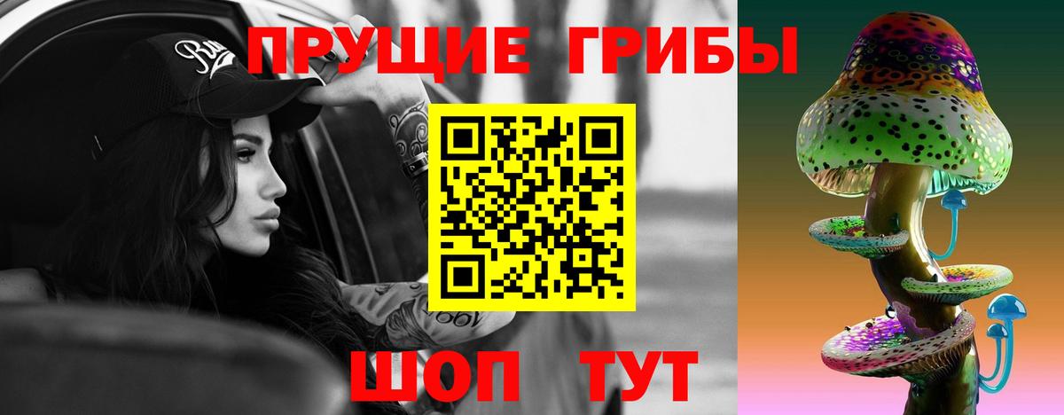 Псилоцибиновые грибы Cubensis Гатчина